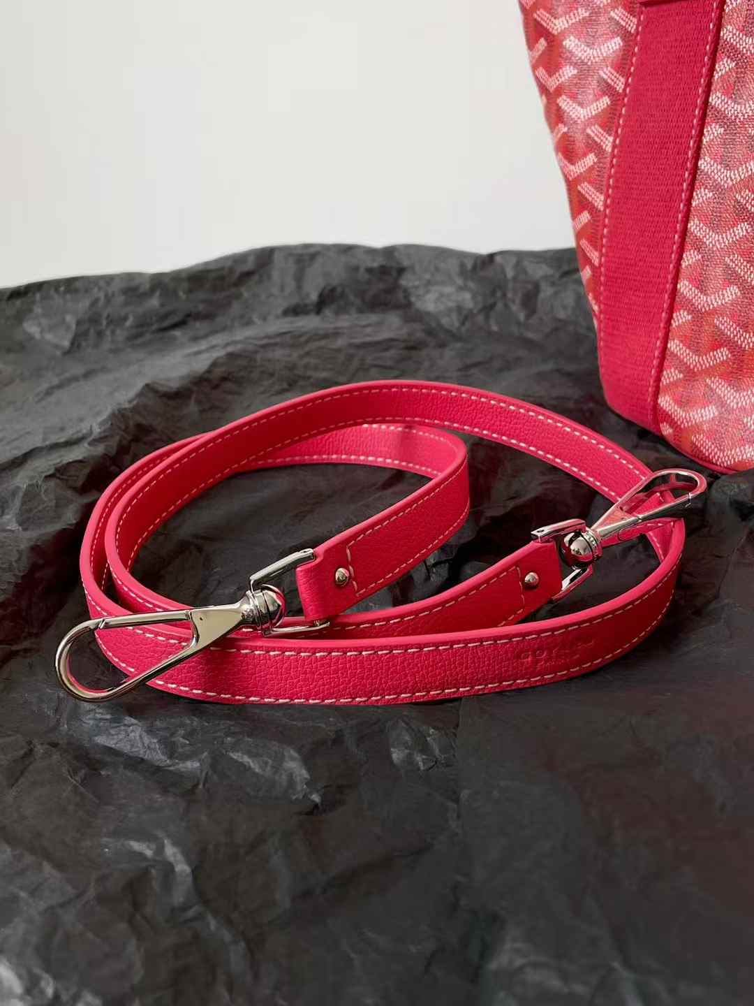 Goyard Belharra Bag view 9