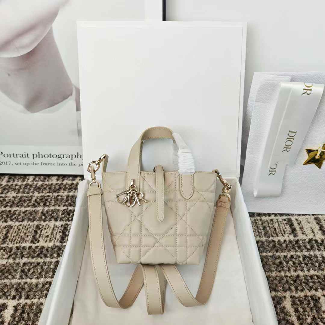 Dior Toujours Vertical Nano Tote Bag view 1