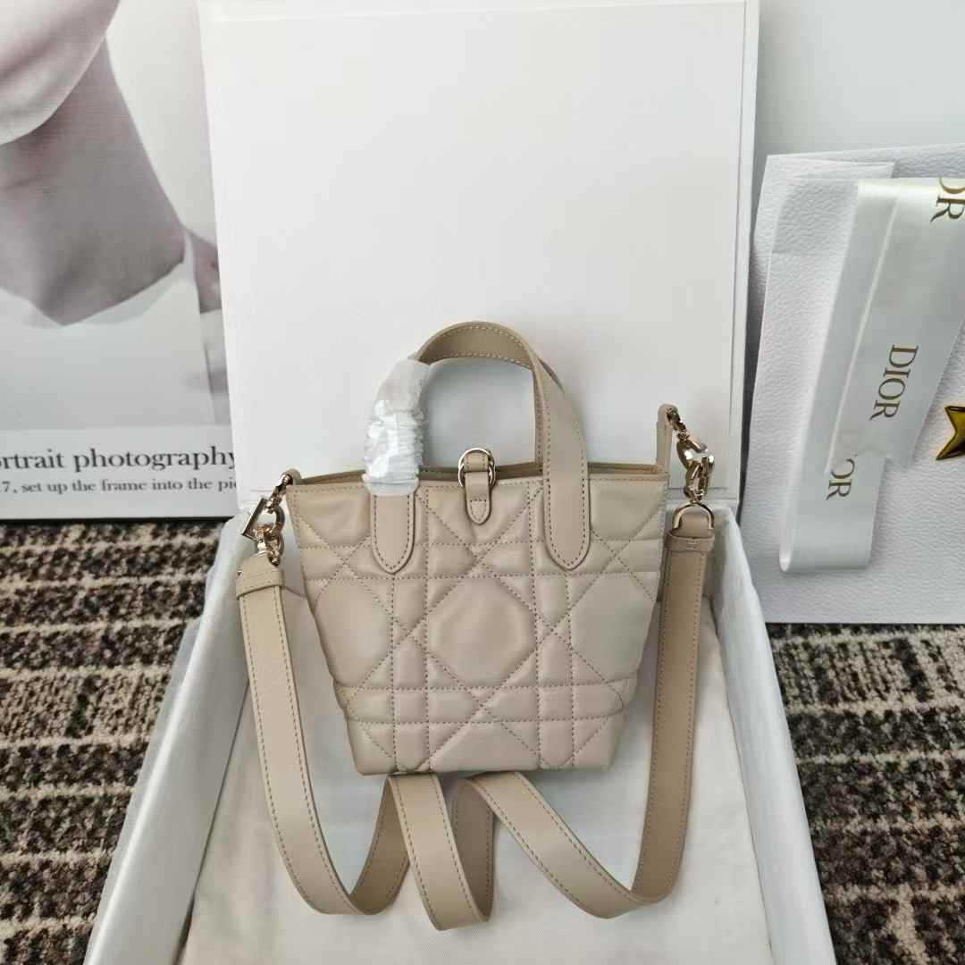 Dior Toujours Vertical Nano Tote Bag view 2