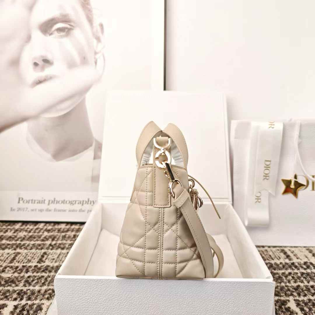 Dior Toujours Vertical Nano Tote Bag view 3