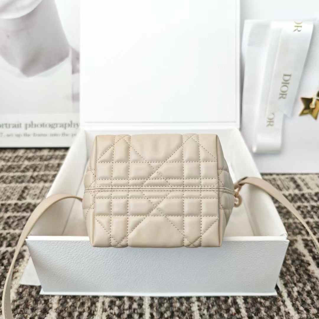 Dior Toujours Vertical Nano Tote Bag view 4