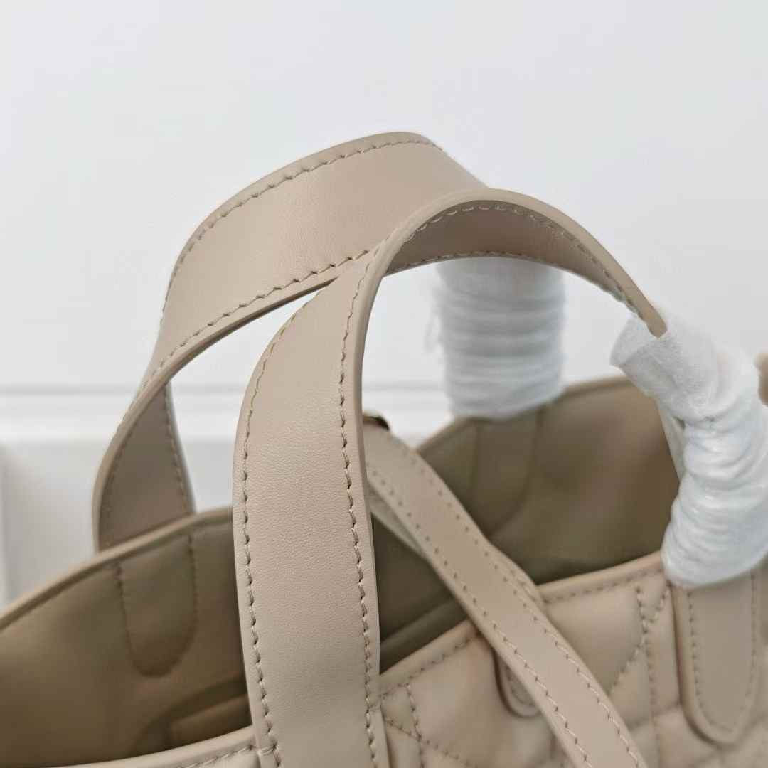 Dior Toujours Vertical Nano Tote Bag view 5