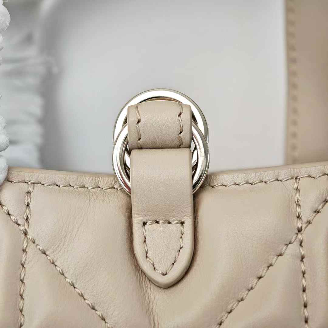 Dior Toujours Vertical Nano Tote Bag view 7