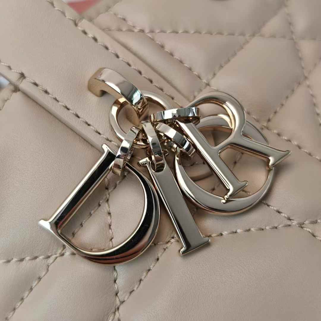 Dior Toujours Vertical Nano Tote Bag view 8