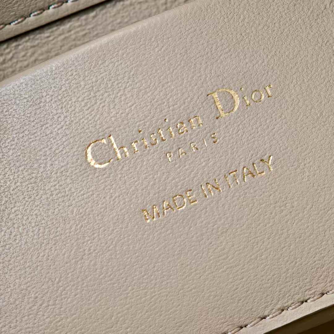 Dior Toujours Vertical Nano Tote Bag view 9