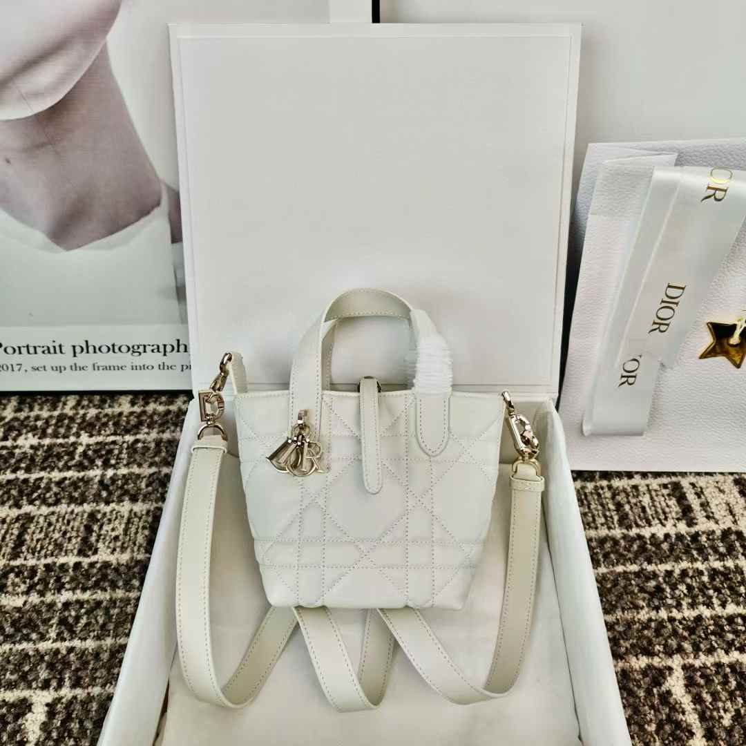 Dior Toujours Vertical Nano Tote Bag view 1