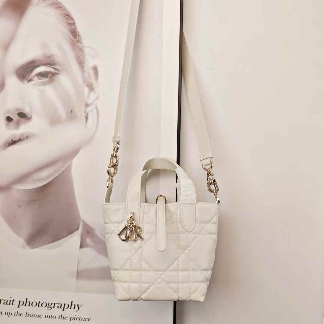 Dior Toujours Vertical Nano Tote Bag view 2