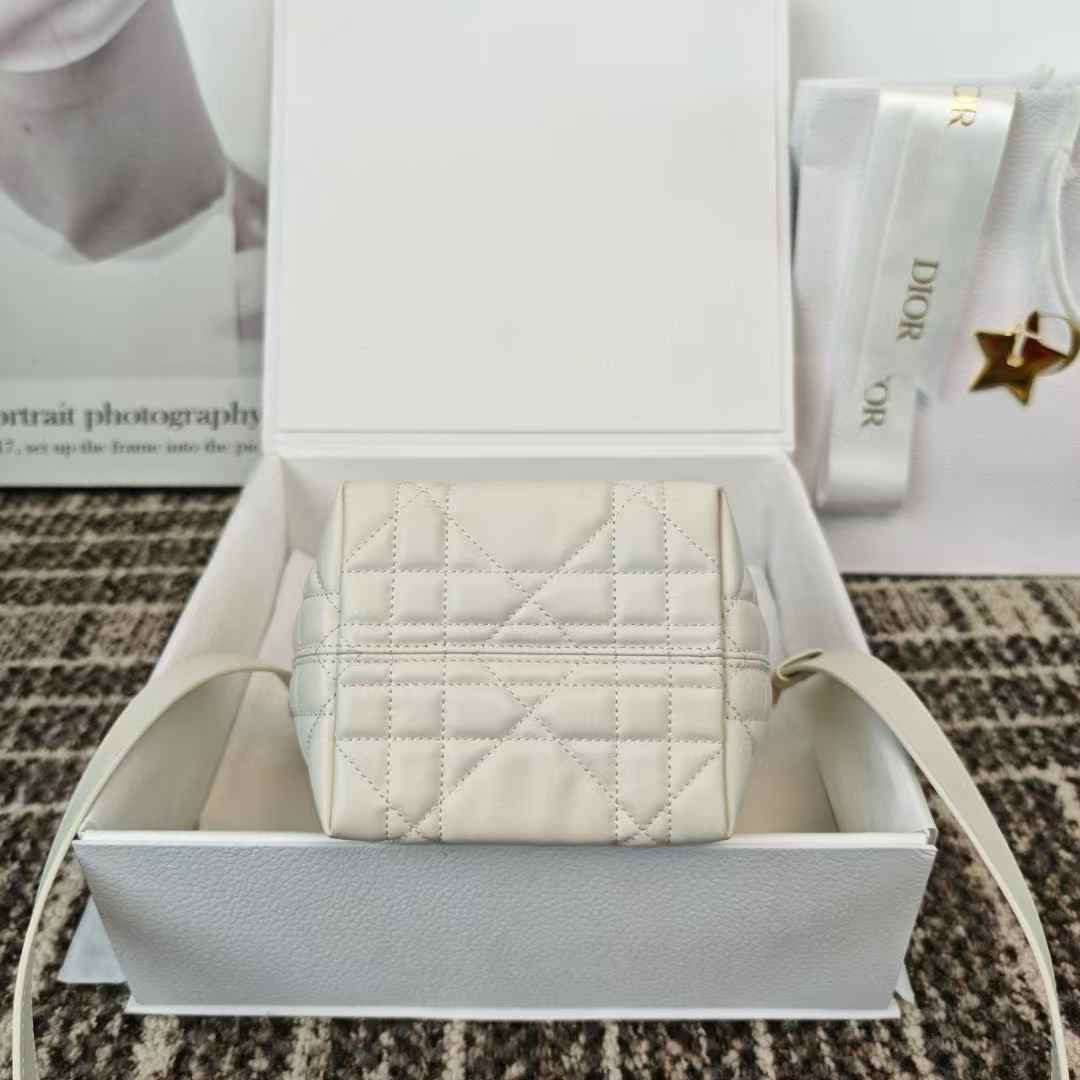 Dior Toujours Vertical Nano Tote Bag view 4