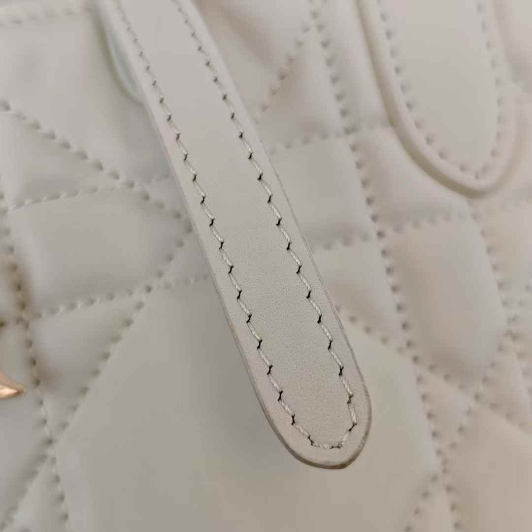 Dior Toujours Vertical Nano Tote Bag view 7