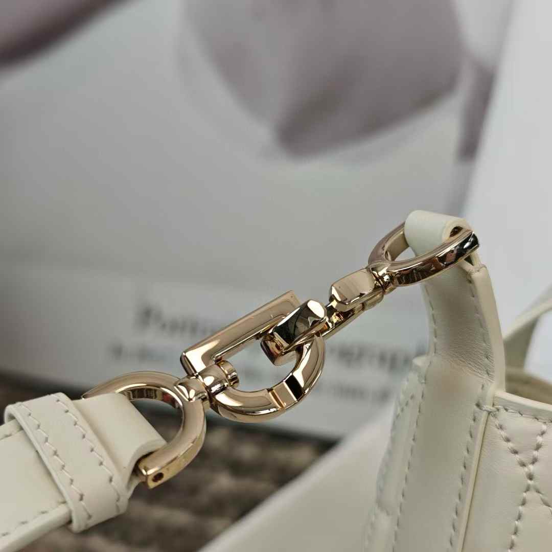 Dior Toujours Vertical Nano Tote Bag view 8