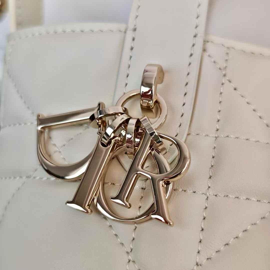 Dior Toujours Vertical Nano Tote Bag view 9