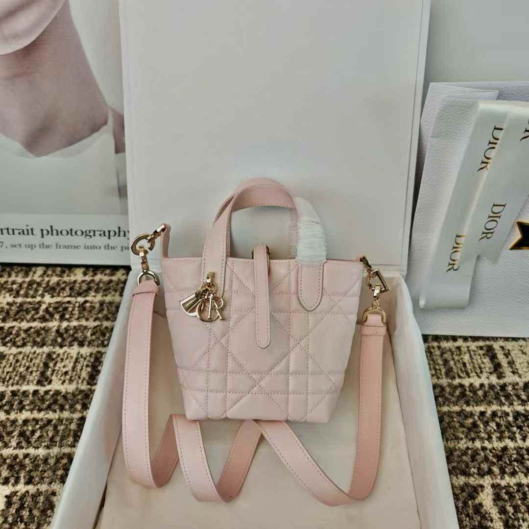 Dior Toujours Vertical Nano Tote Bag view 1