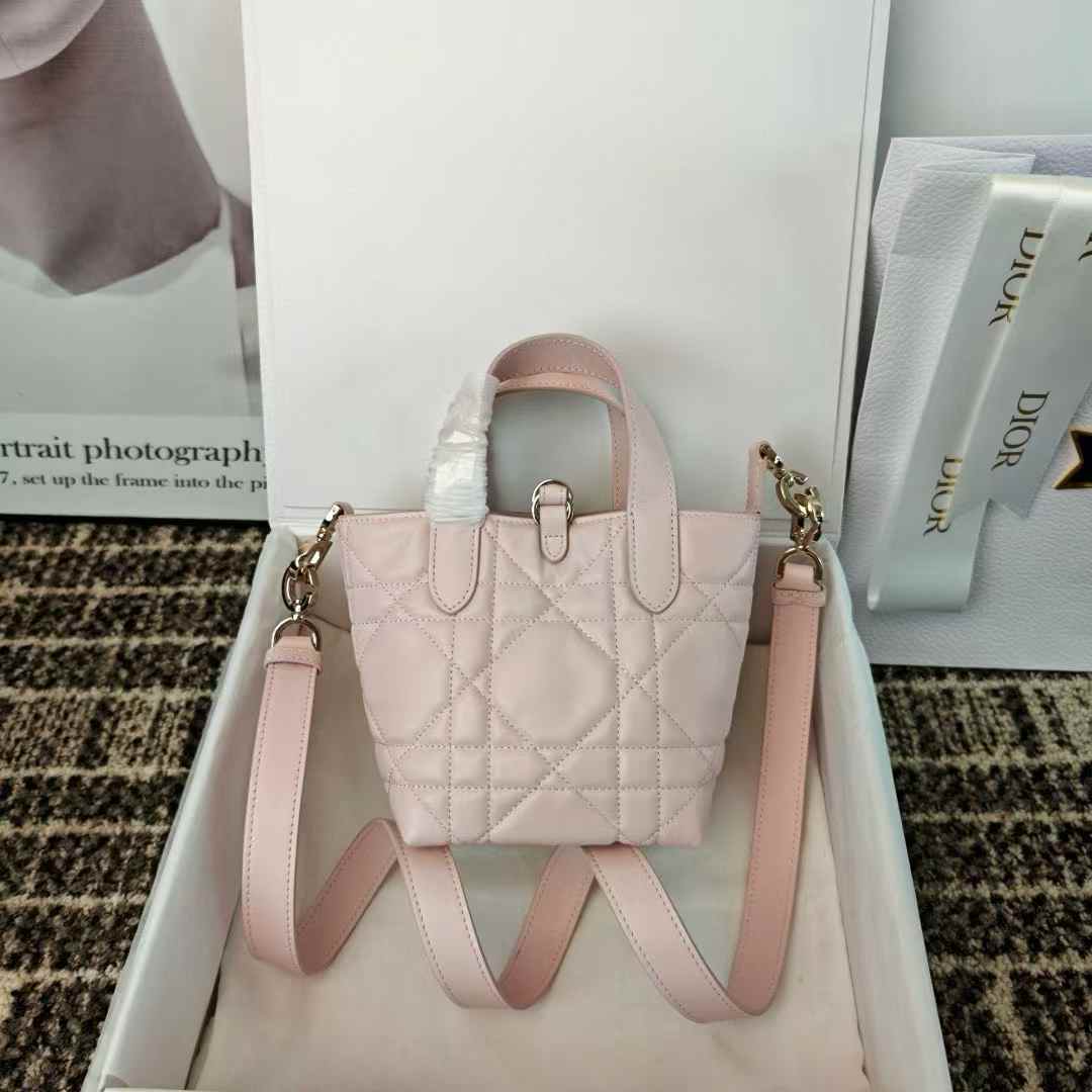 Dior Toujours Vertical Nano Tote Bag view 2