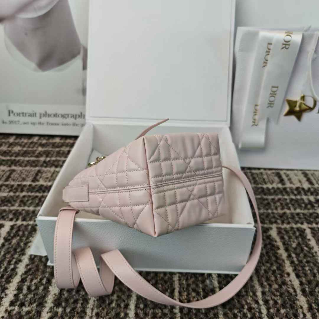Dior Toujours Vertical Nano Tote Bag view 3