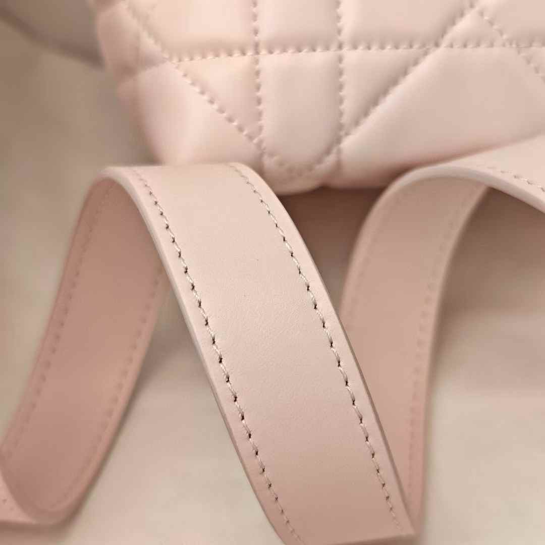 Dior Toujours Vertical Nano Tote Bag view 5