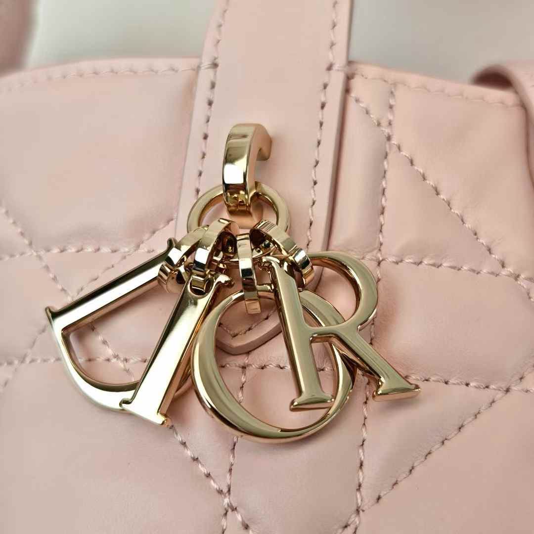 Dior Toujours Vertical Nano Tote Bag view 7