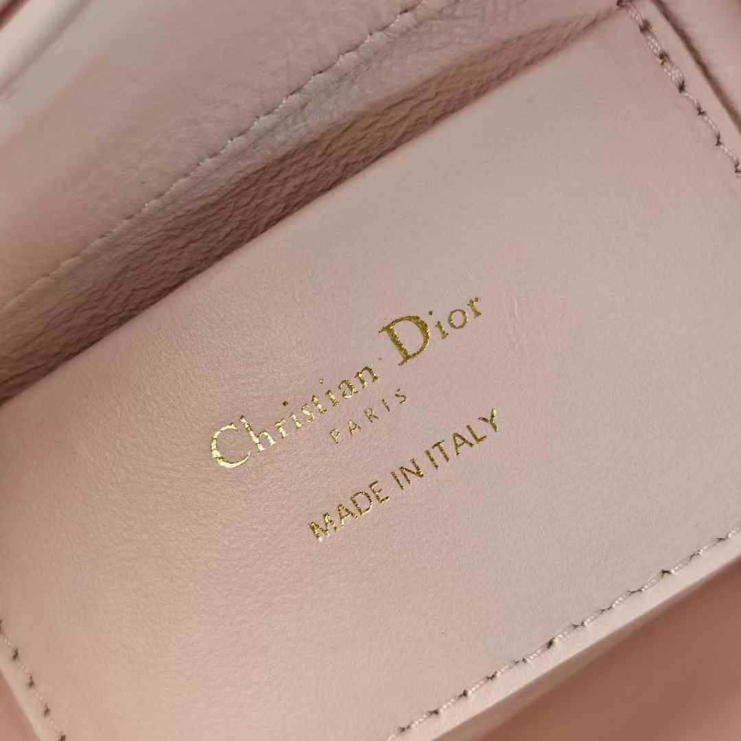 Dior Toujours Vertical Nano Tote Bag view 8