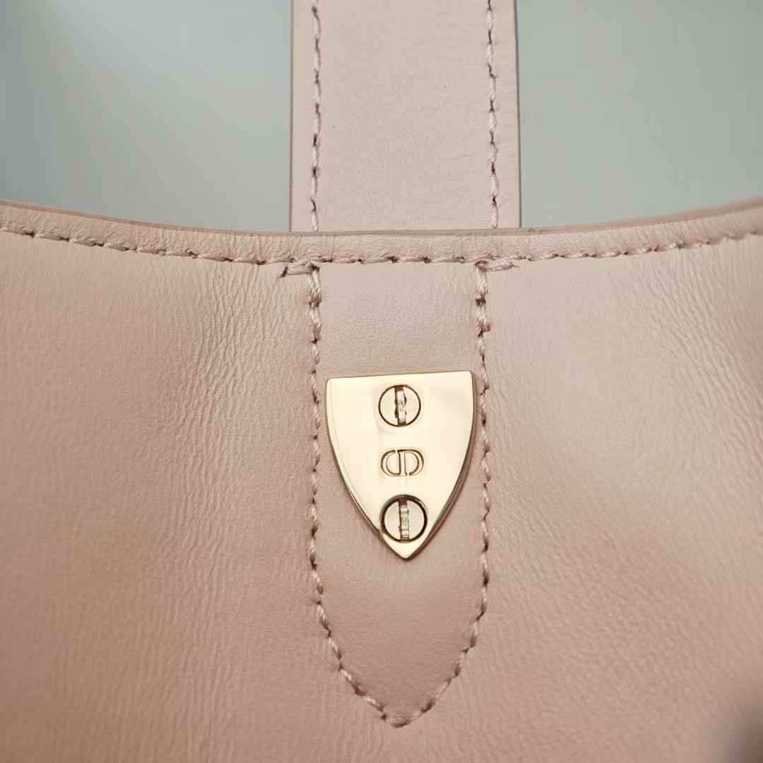 Dior Toujours Vertical Nano Tote Bag view 9