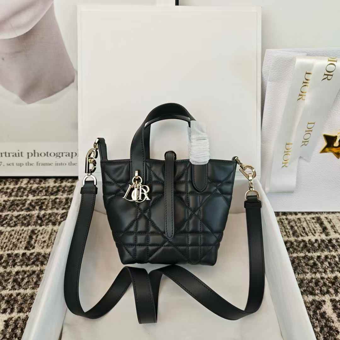 Dior Toujours Vertical Nano Tote Bag view 1