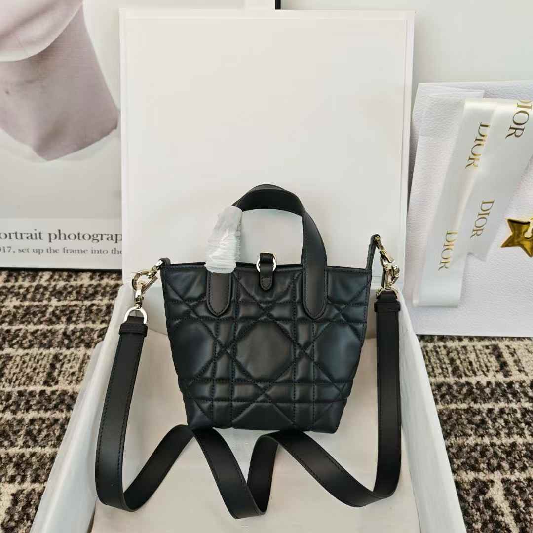 Dior Toujours Vertical Nano Tote Bag view 2
