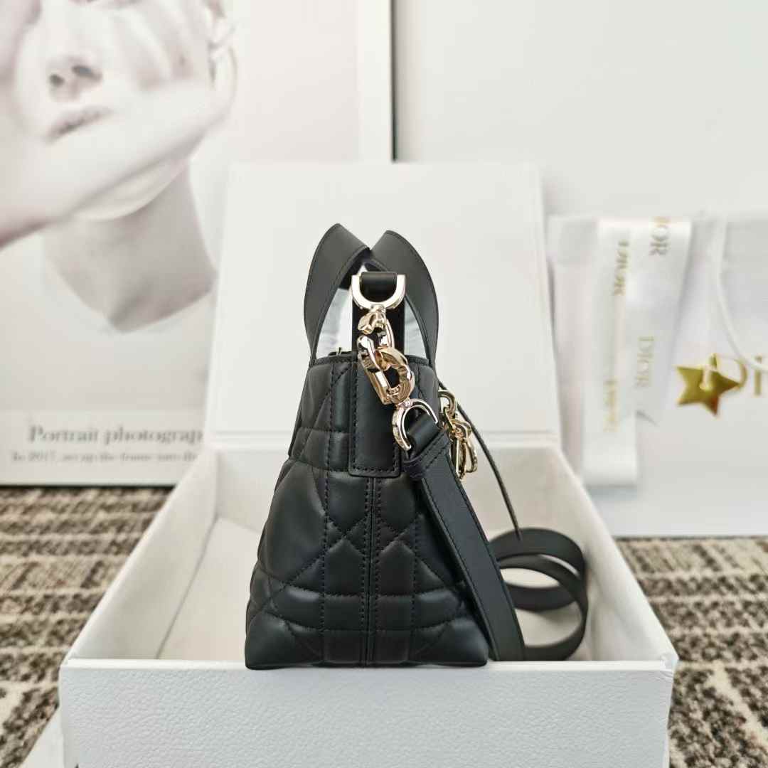 Dior Toujours Vertical Nano Tote Bag view 3