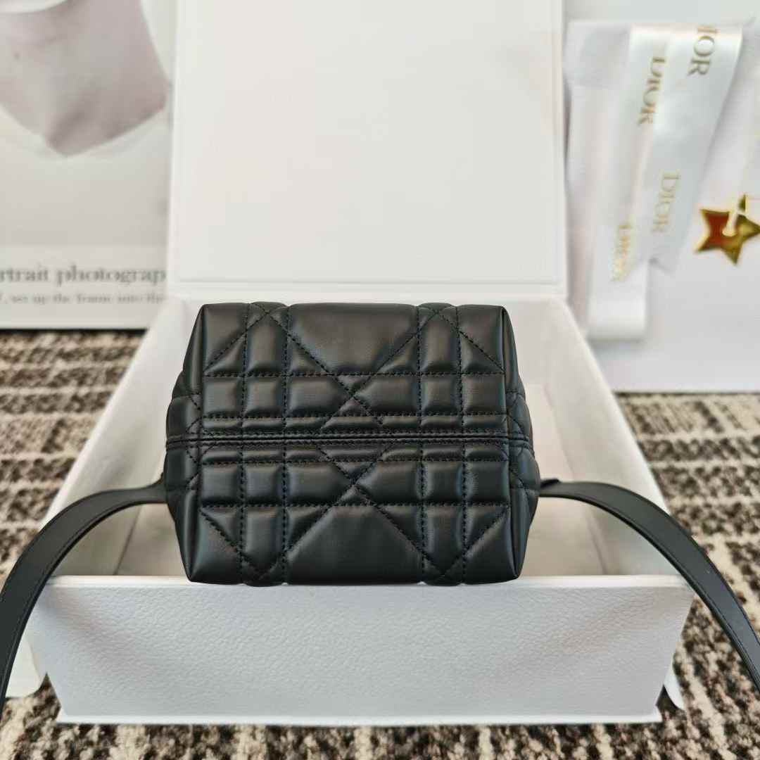 Dior Toujours Vertical Nano Tote Bag view 4