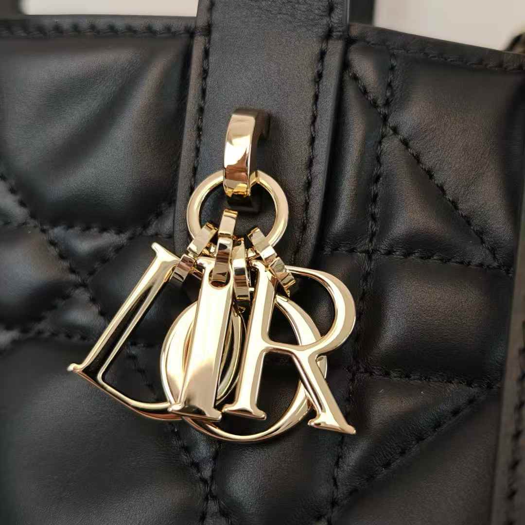 Dior Toujours Vertical Nano Tote Bag view 7