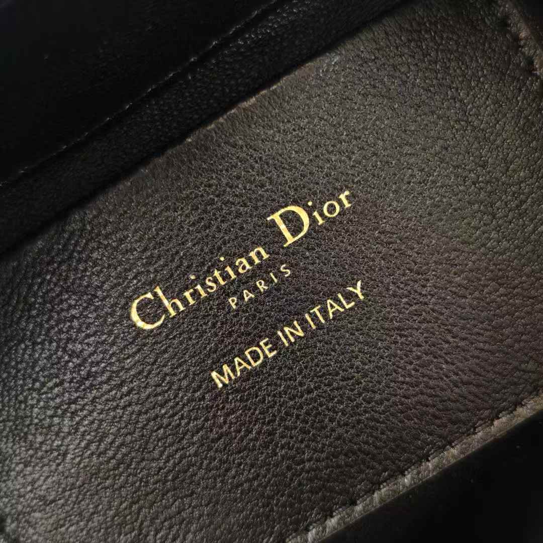 Dior Toujours Vertical Nano Tote Bag view 8