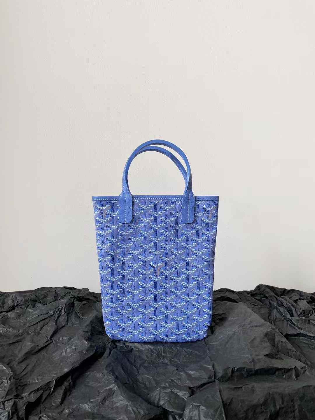 Goyard Poitiers bag view 1
