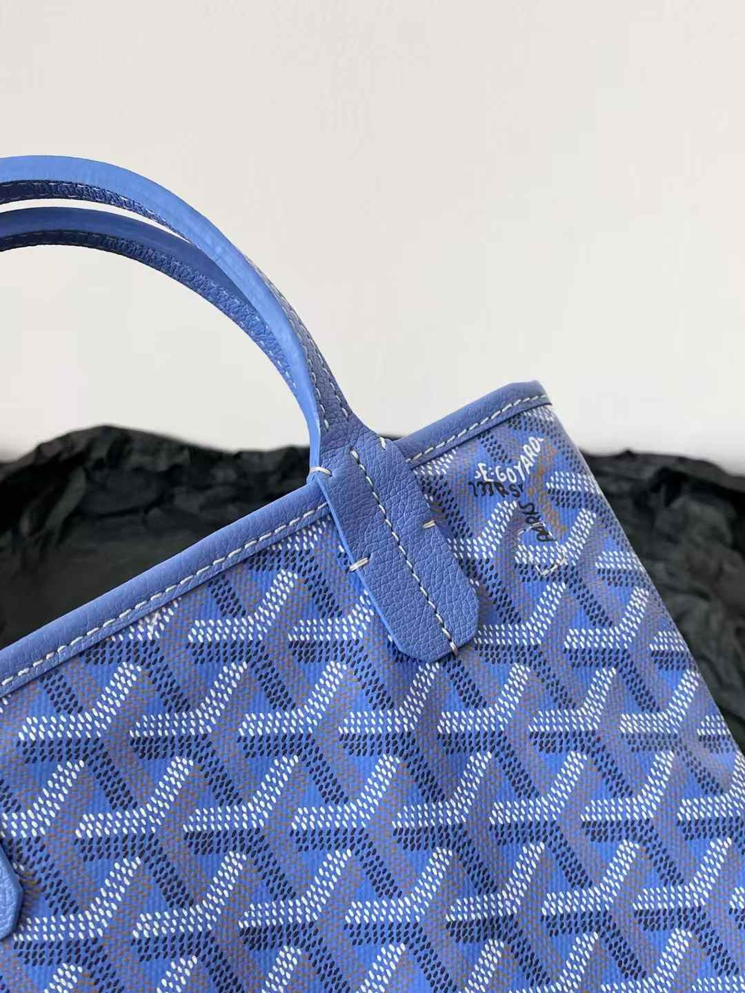 Goyard Poitiers bag view 5