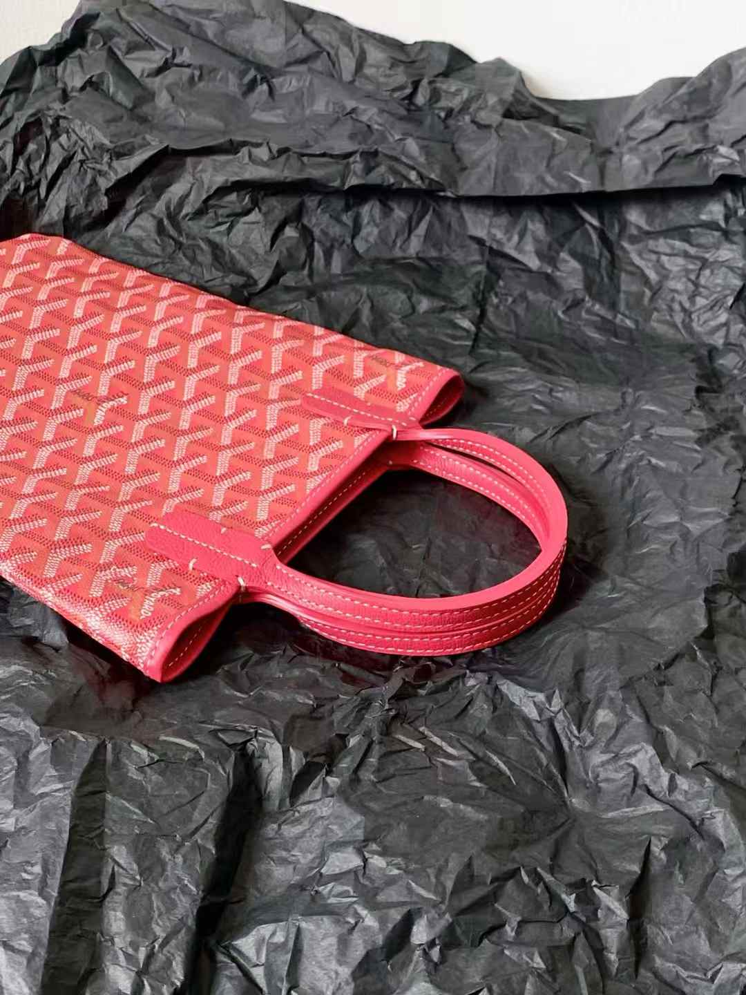 Goyard Poitiers bag view 4