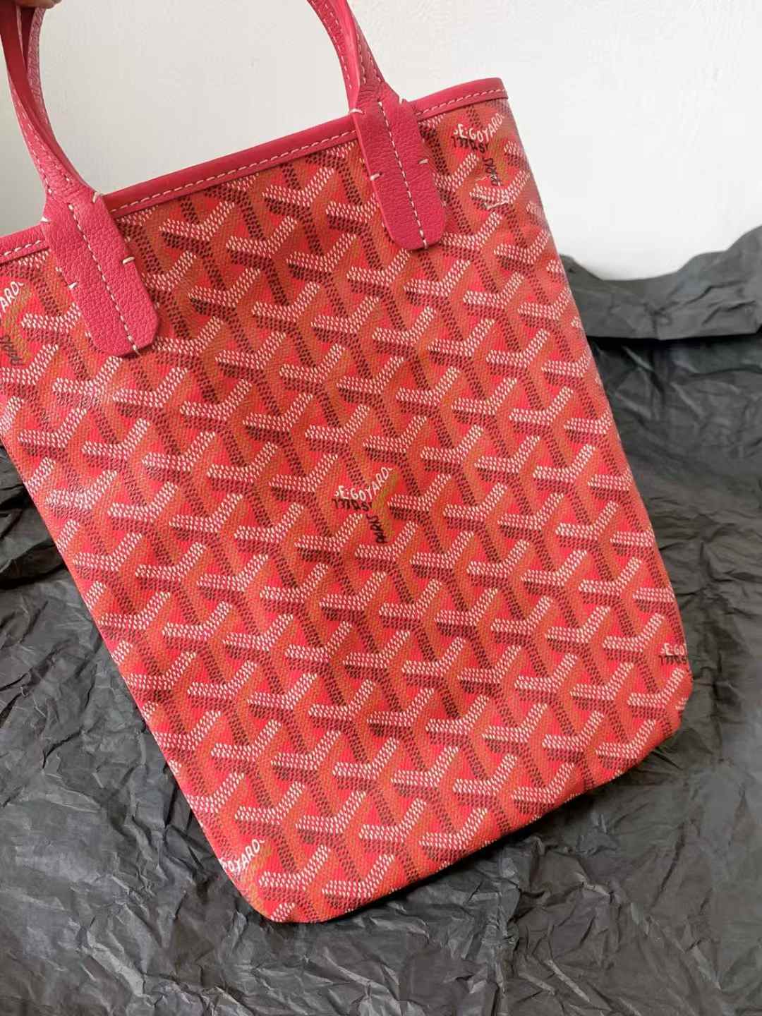 Goyard Poitiers bag view 5