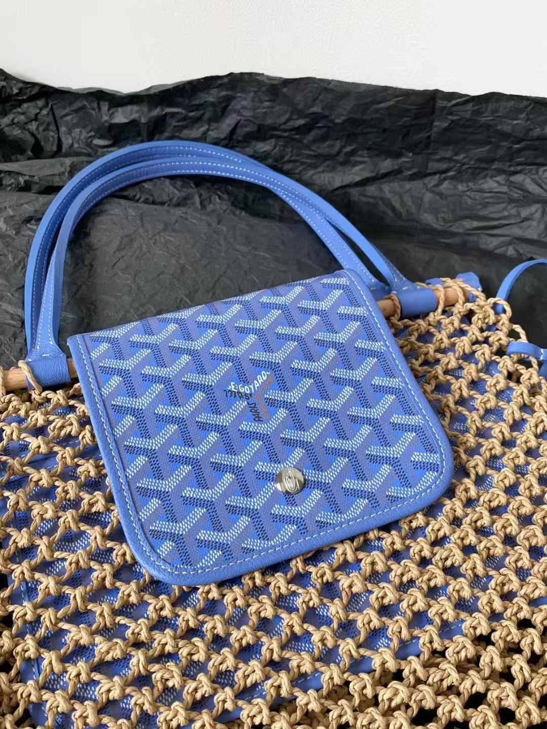 Goyard Aligre bag view 4