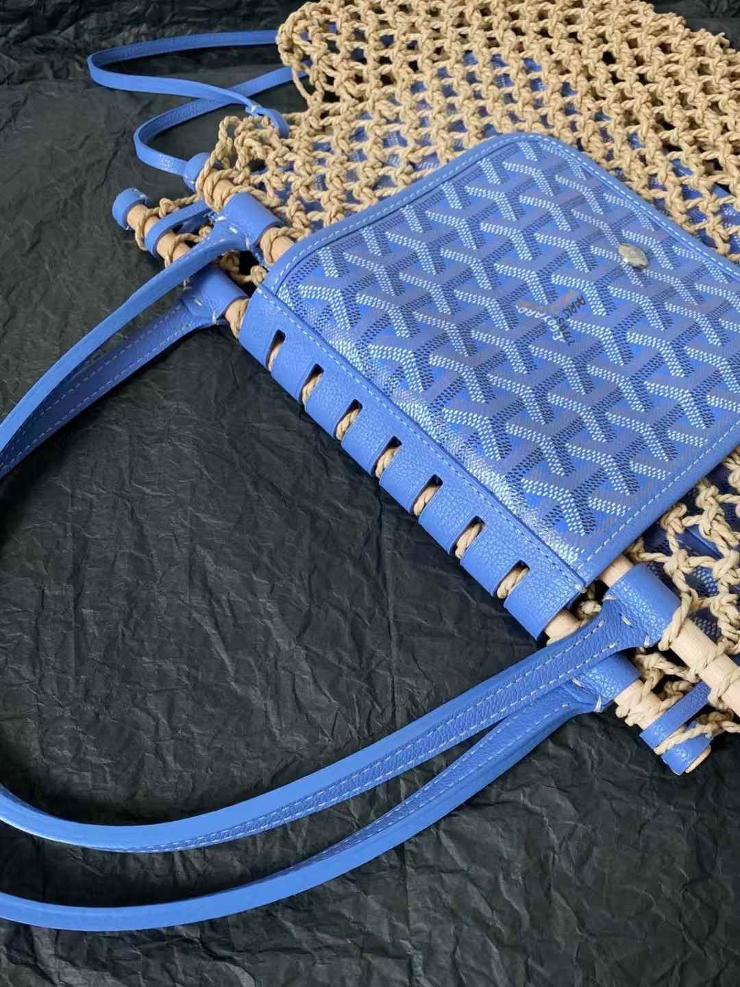 Goyard Aligre bag view 6