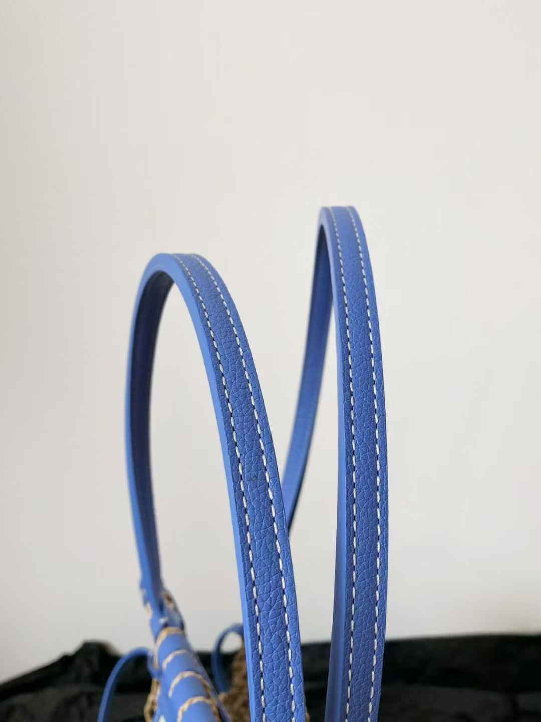 Goyard Aligre bag view 7