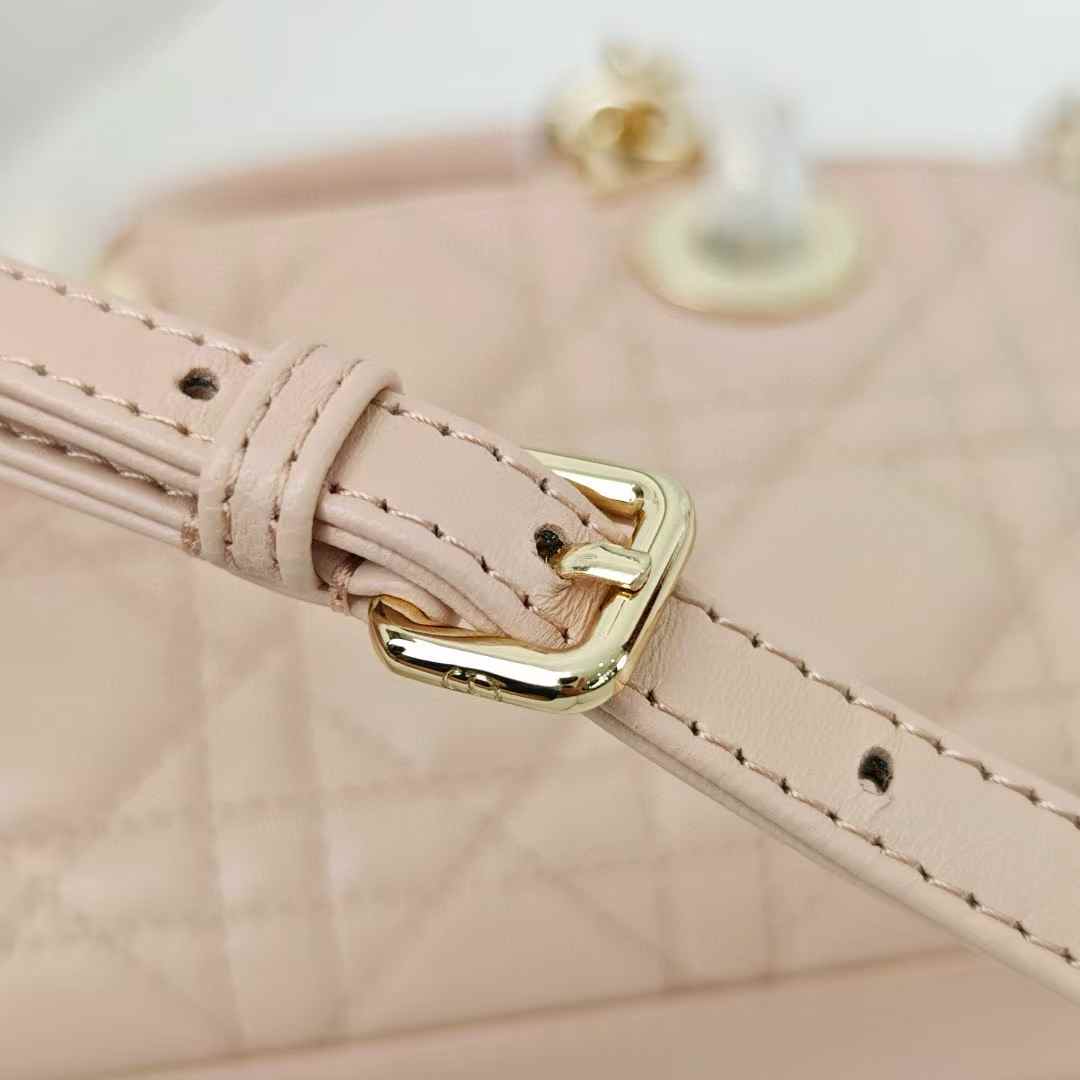 Dior Lady D-Joy Bag view 5