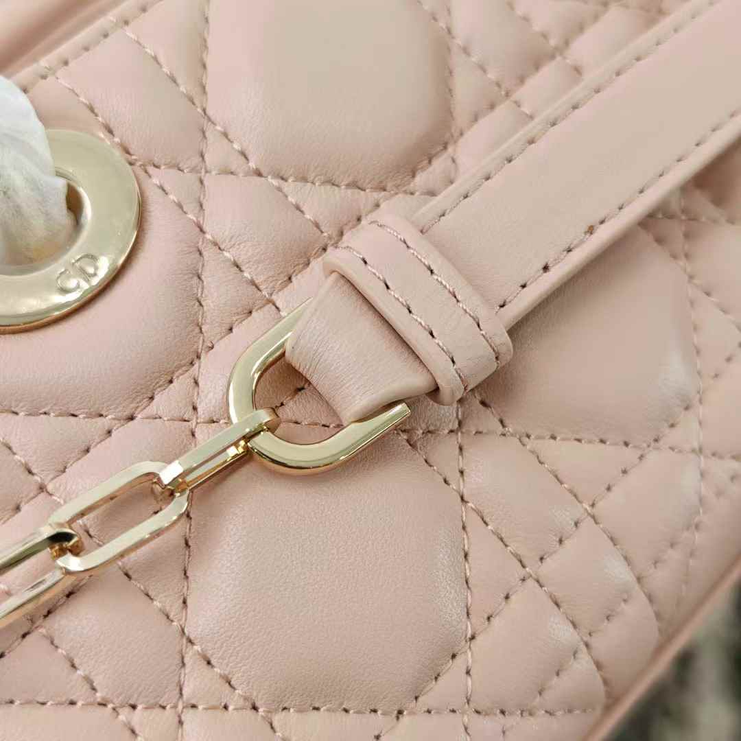 Dior Lady D-Joy Bag view 6
