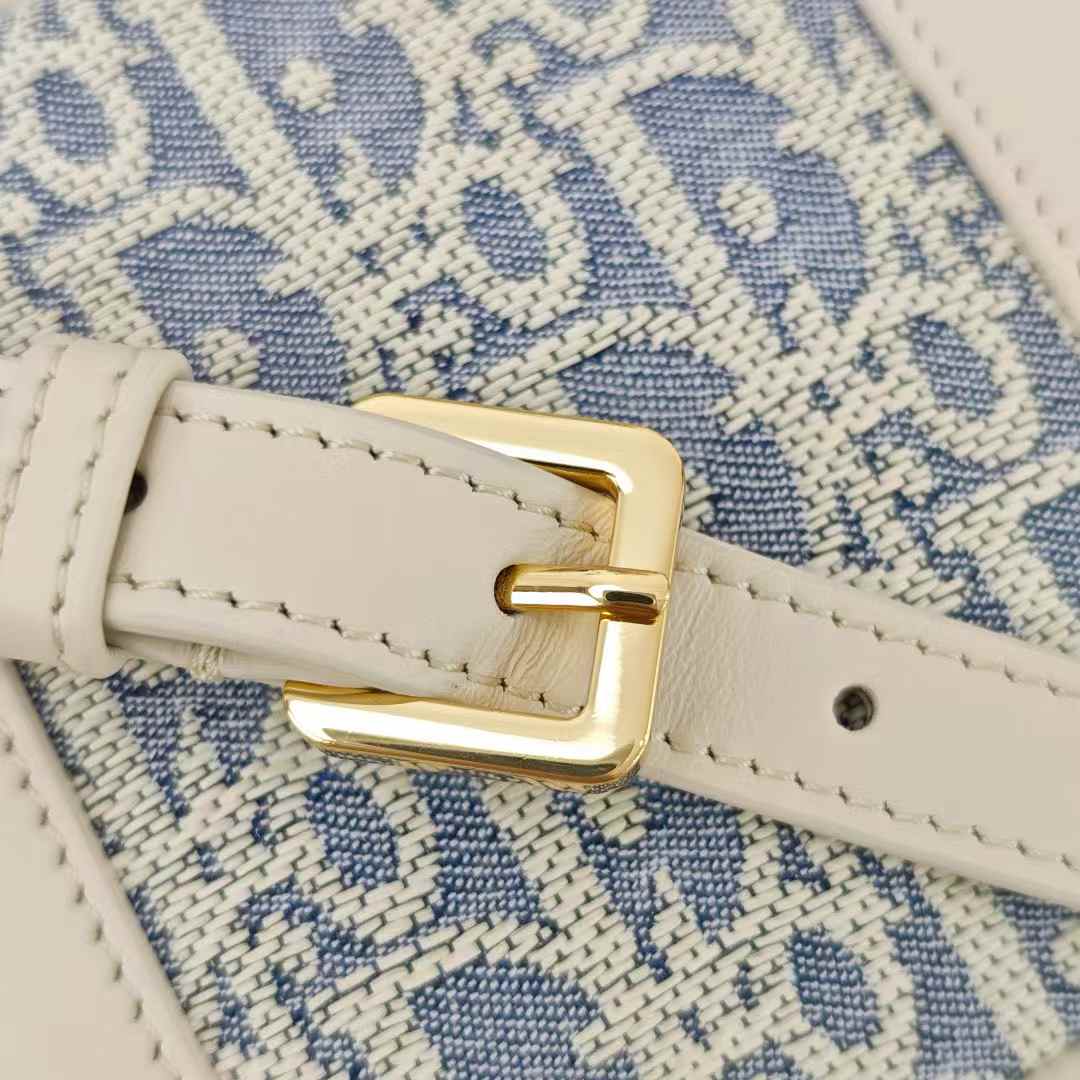 Dior D-Journey Bag view 8