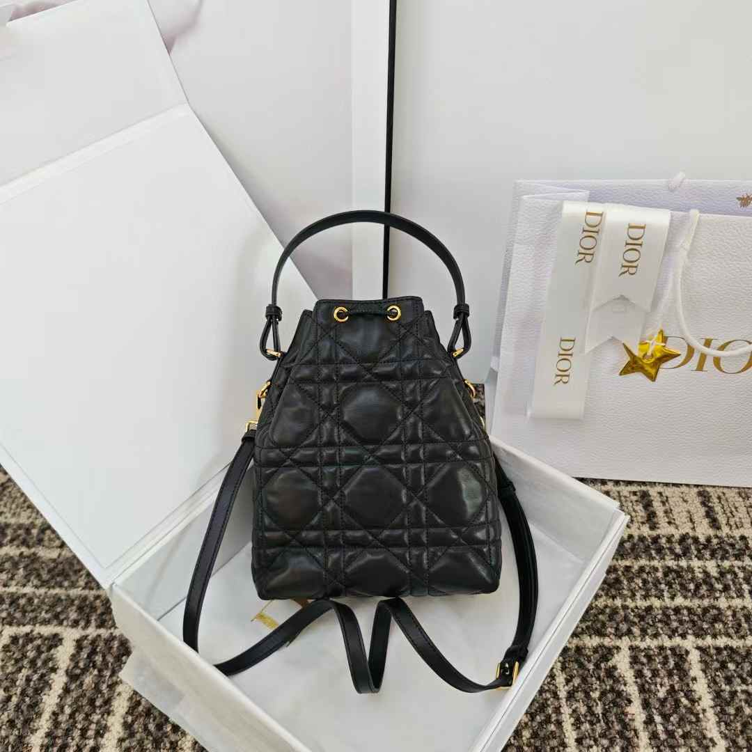 Dior Caro Bucket Bag view 2