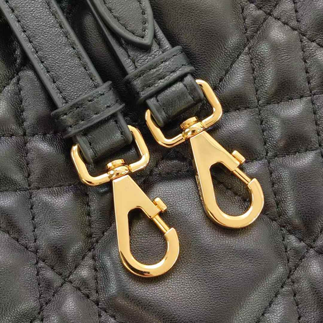 Dior Caro Bucket Bag view 4
