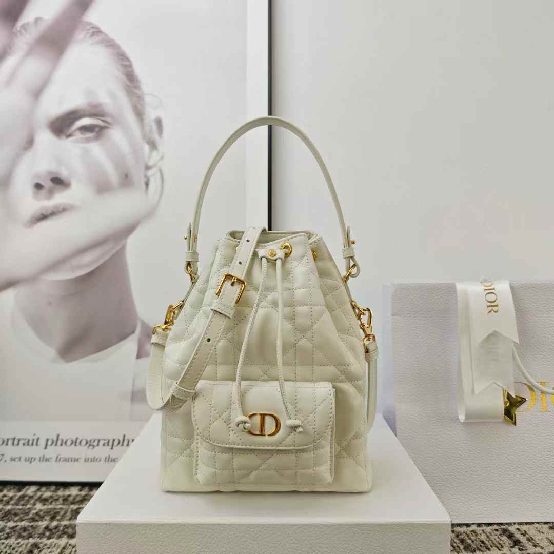 Dior Caro Bucket Bag view 11