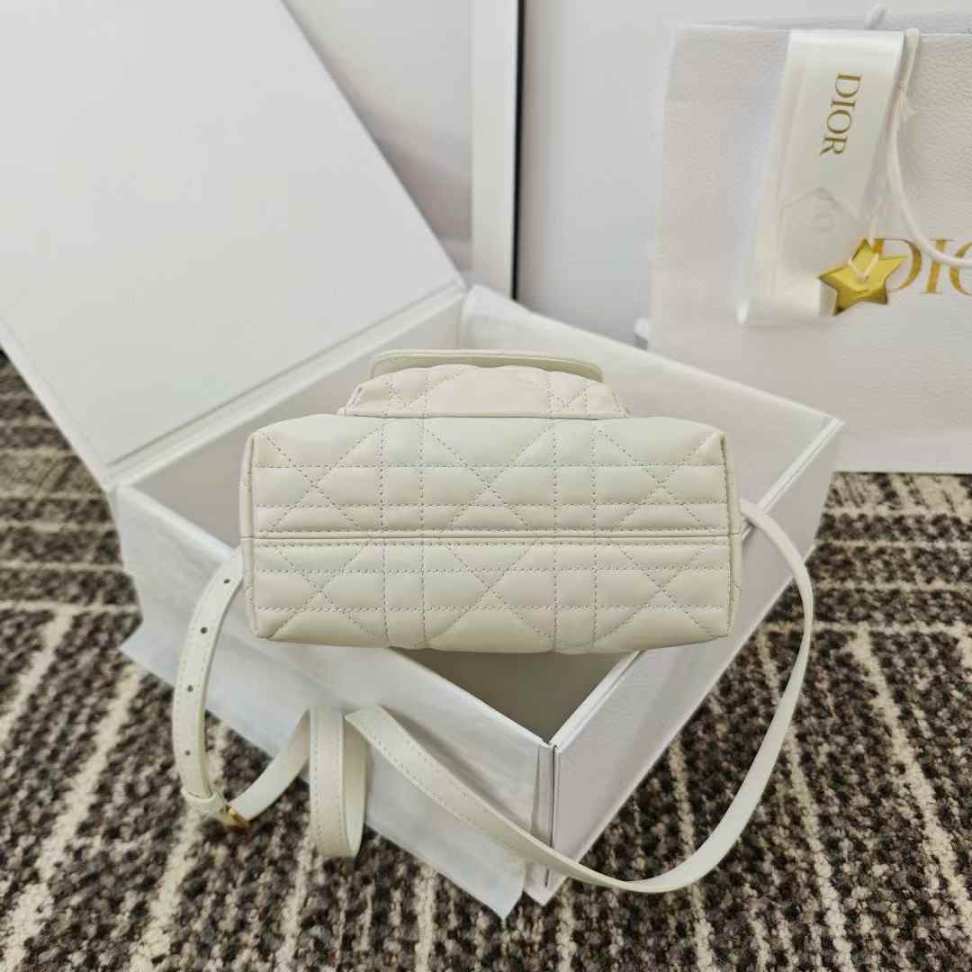 Dior Caro Bucket Bag view 14