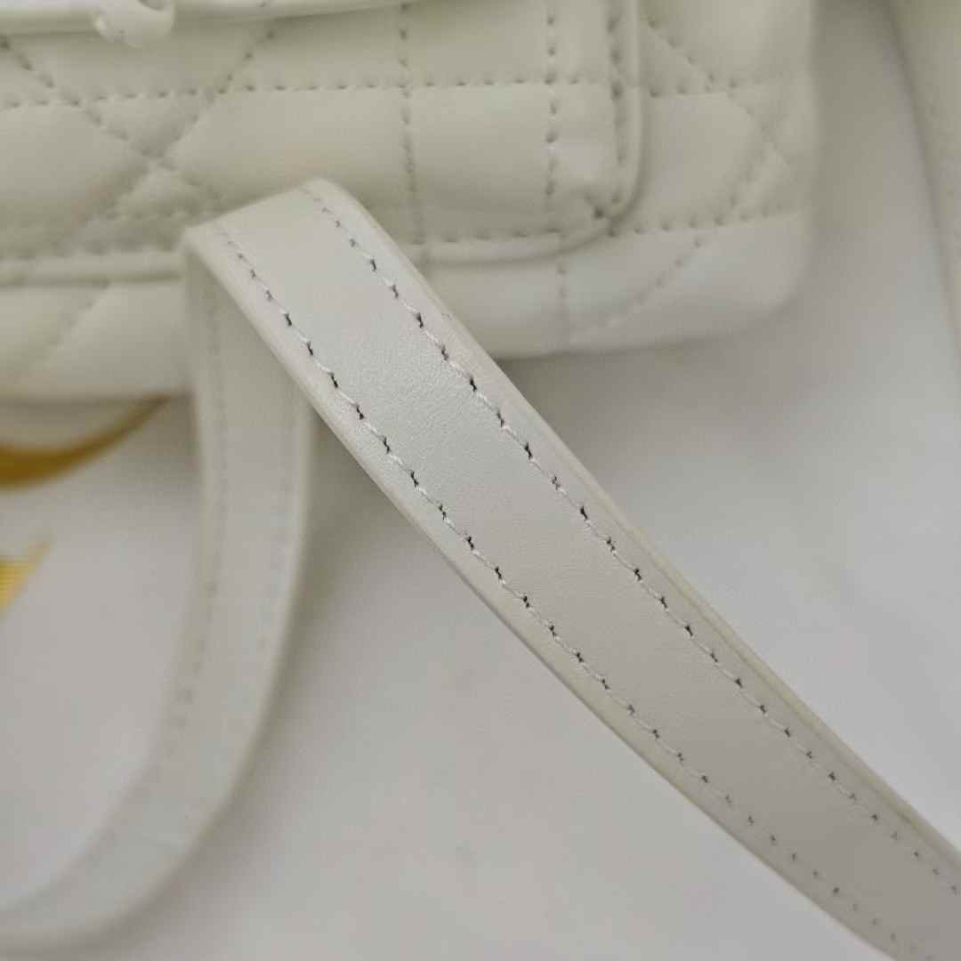 Dior Caro Bucket Bag view 8