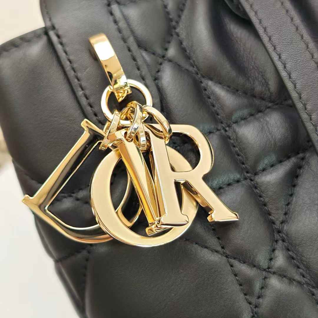 Dior Toujours Vertical Tote Bag view 7