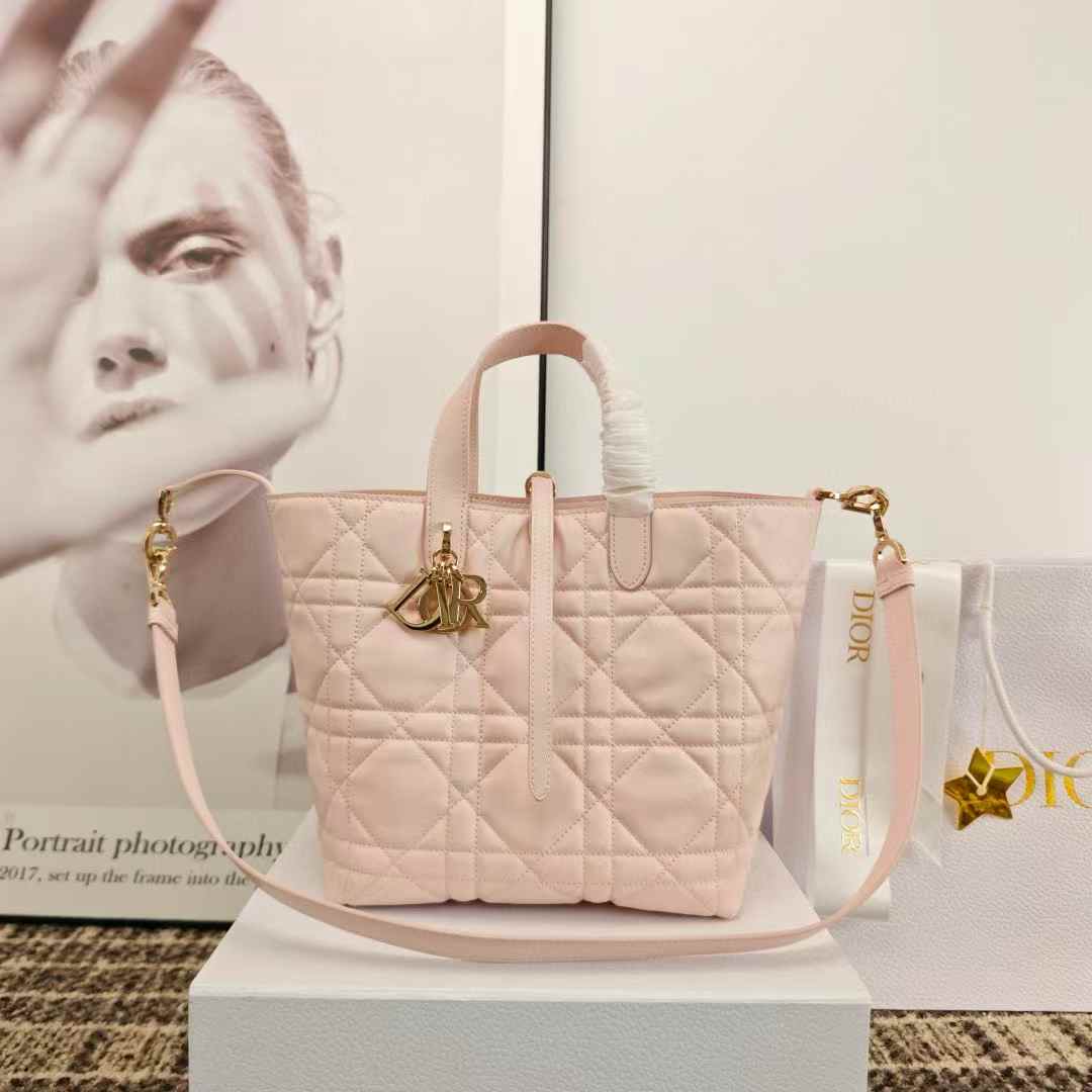 Dior Toujours Vertical Tote Bag view 10