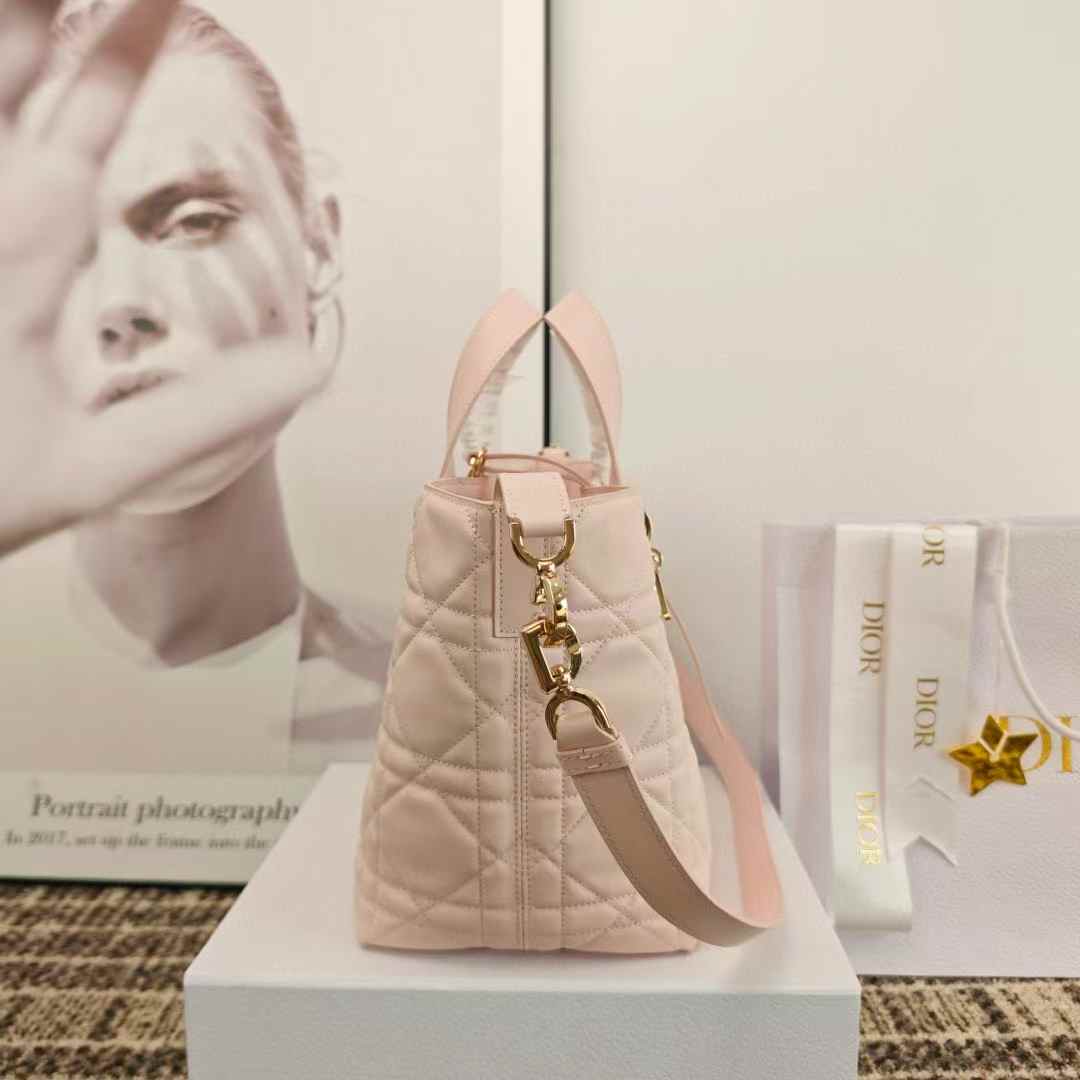 Dior Toujours Vertical Tote Bag view 12