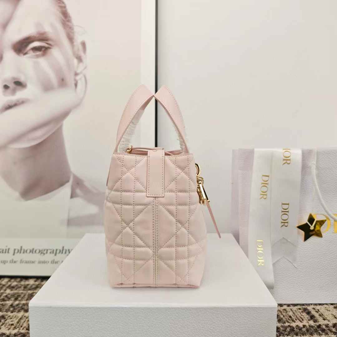 Dior Toujours Vertical Tote Bag view 5