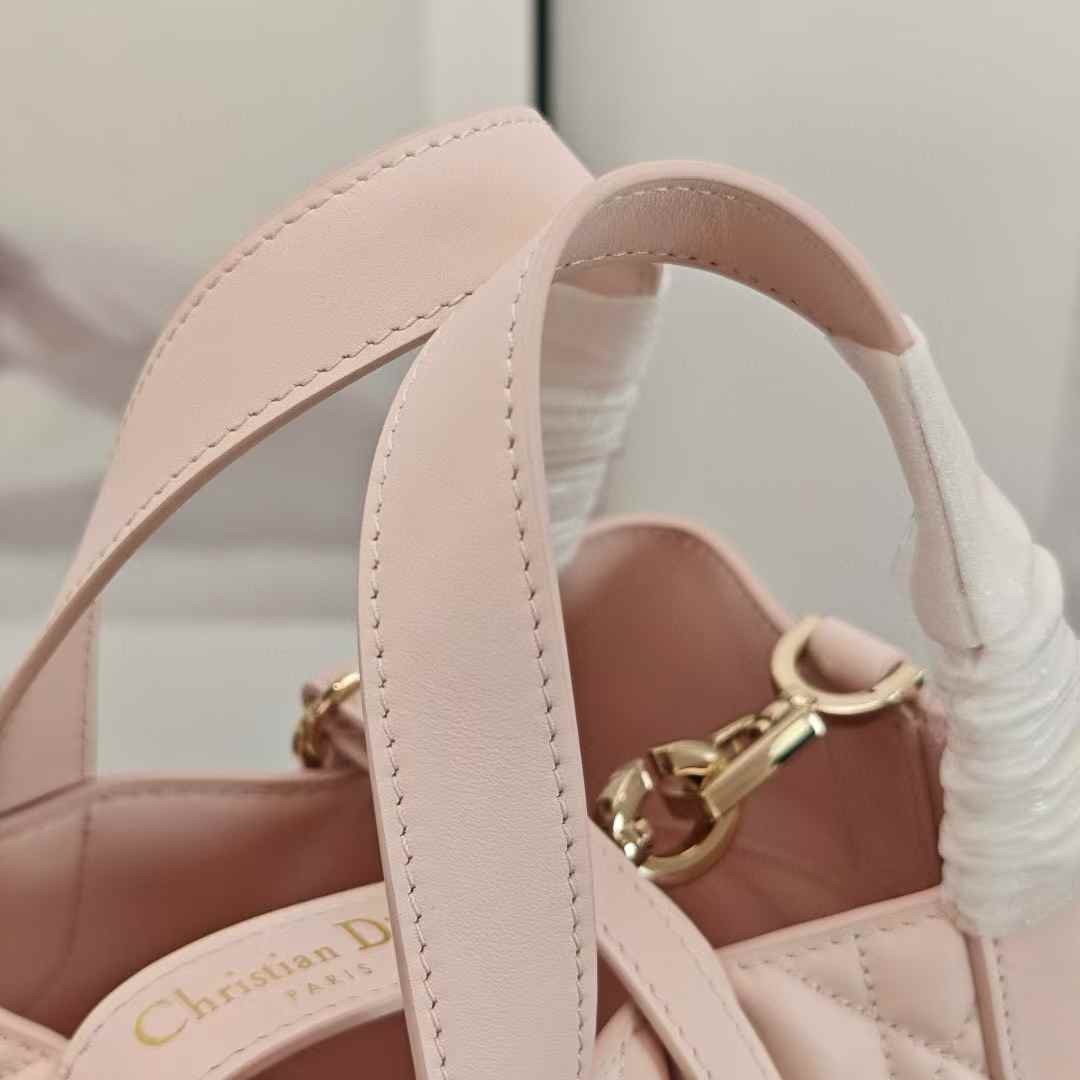 Dior Toujours Vertical Tote Bag view 6