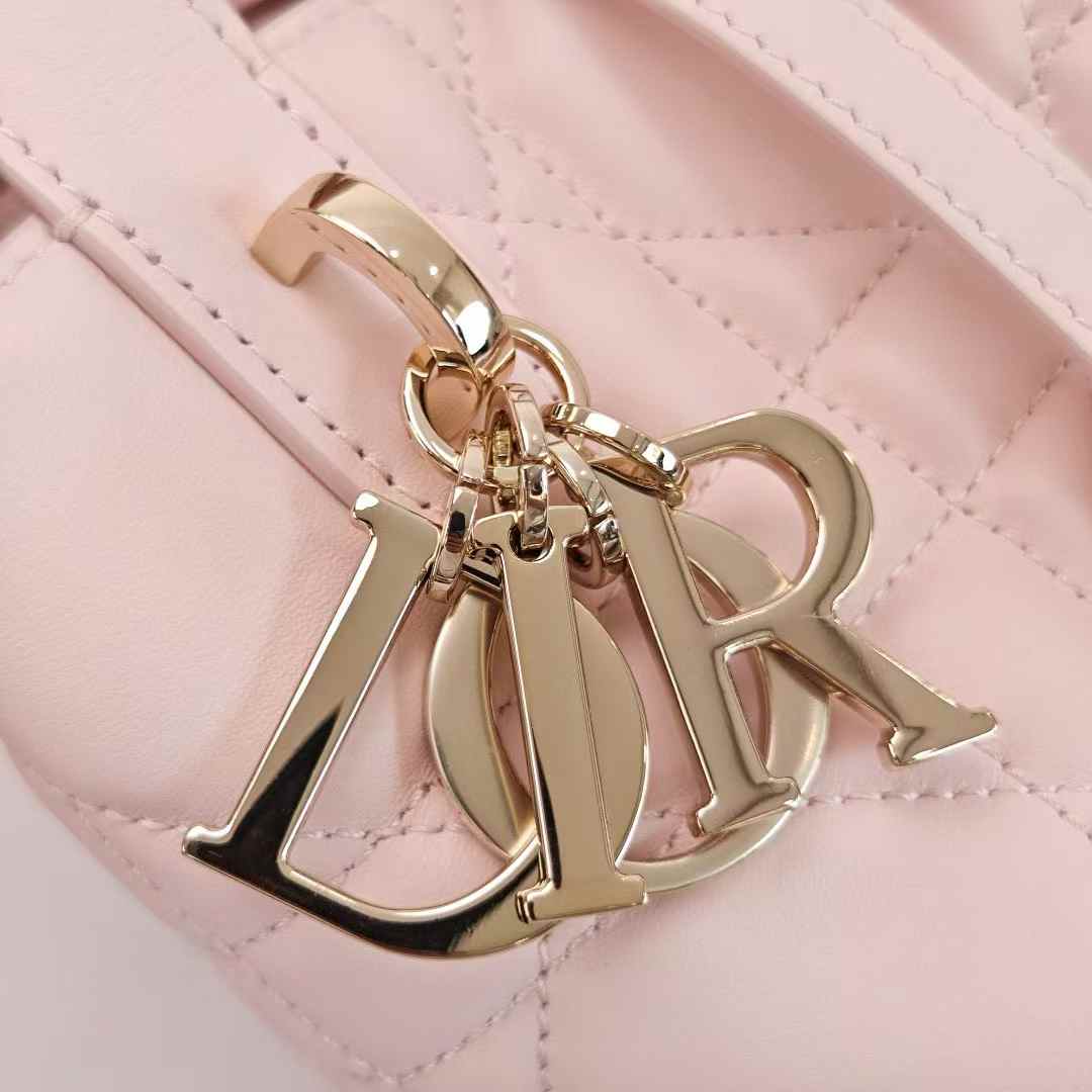 Dior Toujours Vertical Tote Bag view 8