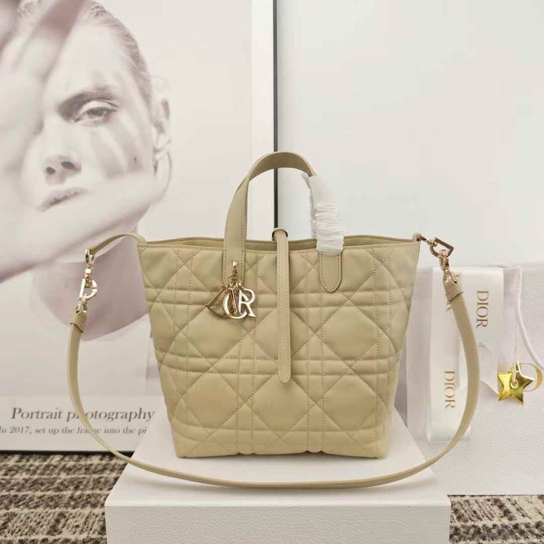 Dior Toujours Vertical Tote Bag view 10